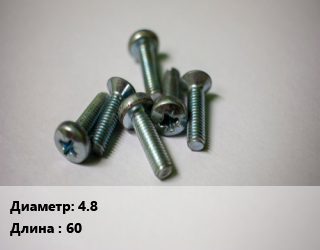 Винт 4.8х60, WDB,WSR, кг цена от 1565 Тг / кг, где купить, условия доставки в Костанае и Костанайской области